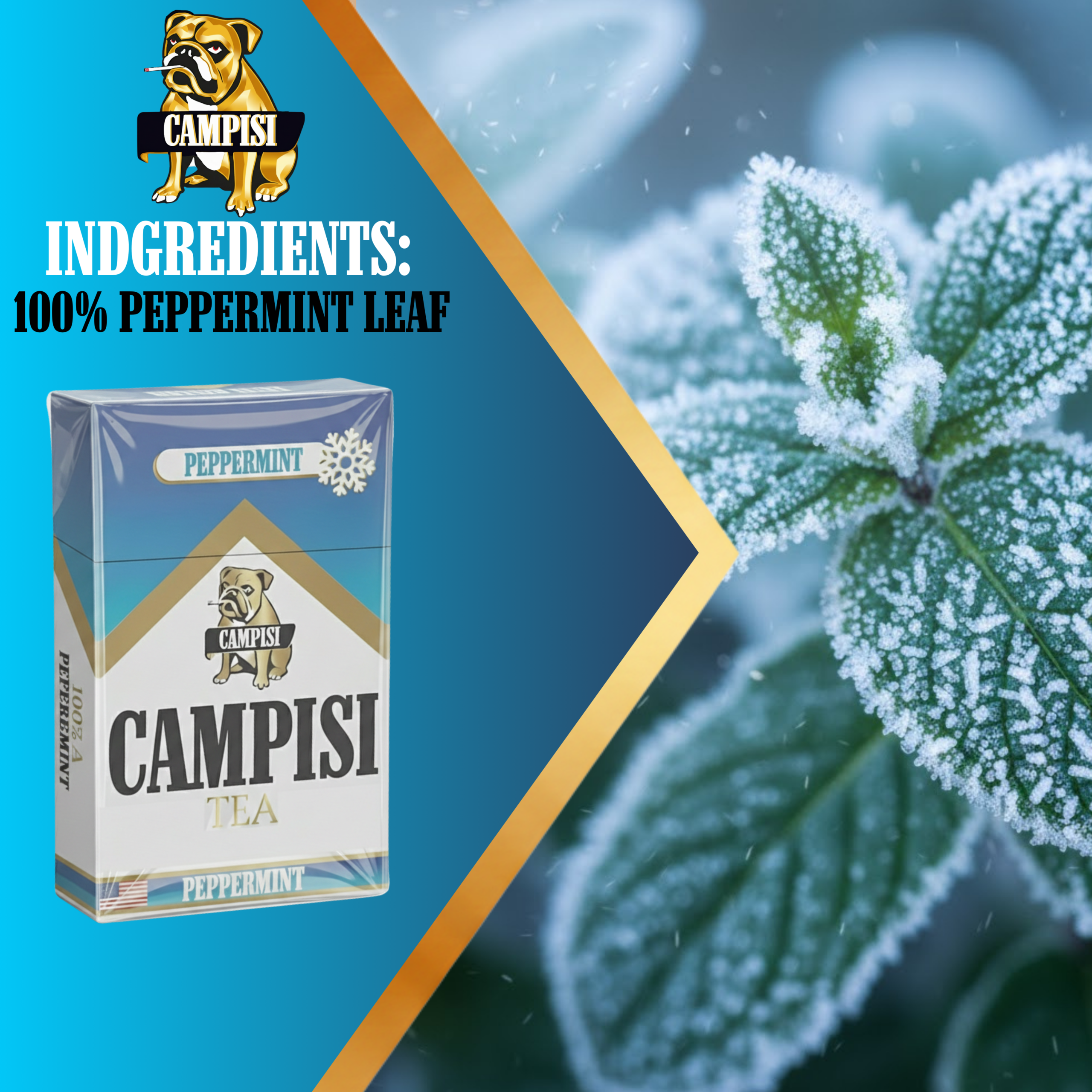 Campisi 5 Pack - Image 6